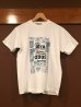 画像1: フェローズ 　１０周年記念Tシャツ (1)