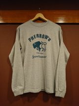 フェローズ　プリントロングスリーブＴシャツ　ＰＬＴ２