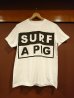 画像1: SURF A PIG サーフアピッグ　Ｔシャツ　ＳＴ－２４ (1)