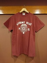 フェローズ 　刺繍Ｔシャツ　ＰＴＰ２
