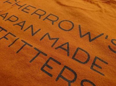 画像17: フェローズ　プリントロングスリーブＴシャツ　ＰＬＴ３