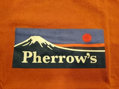 画像11: フェローズ　プリントロングスリーブＴシャツ　ＰＬＴ３