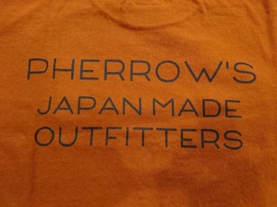 画像16: フェローズ　プリントロングスリーブＴシャツ　ＰＬＴ３