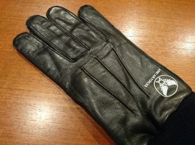 画像4: インポート　Ａ－１０グローブ