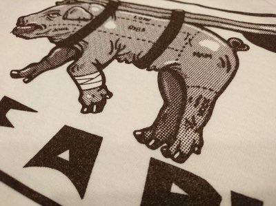 画像12: SURF A PIG サーフアピッグ　Ｔシャツ　ＳＴ－８