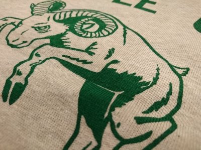 画像13: ウエアハウス　プリントスウェット　４０１　ＴＥＭＰＬＥ　ＣＩＴＹ